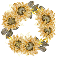 Sunflower wreath watercolor png