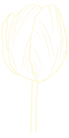 arte de linha de flores com ouro png