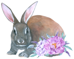 kanin påsk djur med blomma akvarell png