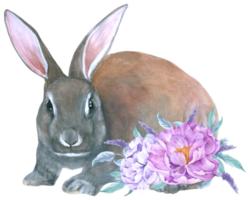 coelho animal de páscoa com aquarela de flores png