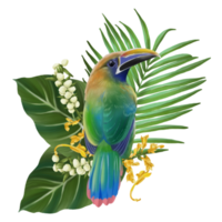 Tropical composition with bird watercolor hand paint png