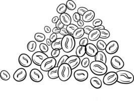 Coffee beans line drawn icon. vector