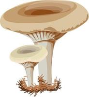 bosque de hongos lactarius. vector