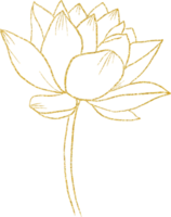 flor e folha de brilho de ouro png
