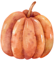 aislado de acuarela de otoño sobre fondo blanco png