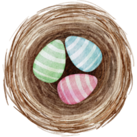 Easter eggs in the nest watercolor png