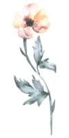 aquarela de flores silvestres, elemento de aquarela linda flor png