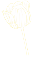 Flower line art with gold png