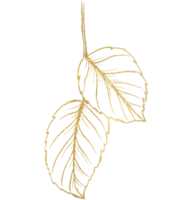 Rosenblüte mit goldener Strichzeichnung png