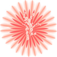 dolci carino fiorire fiore fioritura decorazione astratto sfondo simbolo modello illustrazione png