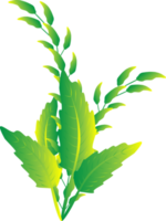 grönska blad växter Hem dekorativ abstrakt bakgrund konst grafisk design vår mönster illustration png