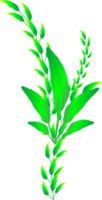 grön natur blad blomma prydnad botanisk isolera illustration png