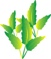 Grün Blattpflanzen Zuhause dekorativ abstrakt Hintergrund Kunst Grafikdesign Frühlingsmuster Illustration png