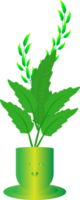 kamerplant blad vaas natuur fabriek decoratie lente png