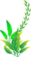 bloem blad kamerplant ornament decoratie grafisch ontwerp illustratie png