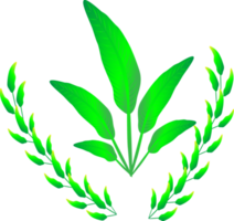 Nature leaf flower plant banner logo graphic design illustration png