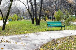 camino húmedo y banco verde vacío en el parque en otoño foto