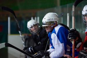 ice hockey players on bench photo