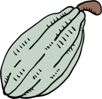 scarabocchiare disegno a mano libera del frutto del cacao. png