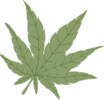 simplicidad hoja de cannabis dibujo a mano alzada diseño plano. png