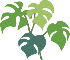 eenvoud monstera plant uit de vrije hand tekenen plat ontwerp. png