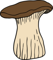 doodle freehand sketch drawing of mushroom vegetable. png