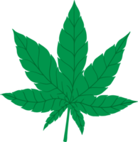 enkelhet cannabisblad frihandsritning platt design. png