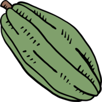 Gekritzel-Freihand-Skizze-Zeichnung von Kakaofrüchten. png