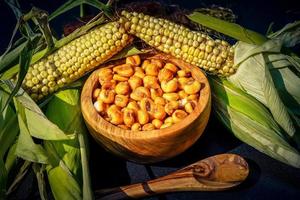 the yellow corn perfect to be fried and salted photo