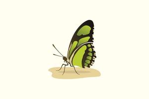 inspiración de logotipo de mariposa, diseño de logotipo vector