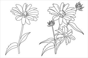 conjunto de flores de manzanilla, estilo garabato gerbera, ilustración para libro de colorear, páginas para colorear vector