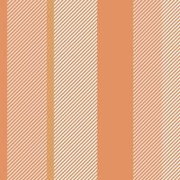 Stripes pattern vector background. Colorful stripe abstract texture.