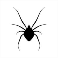 Spider silhouette icon for halloween. Vector illustration.