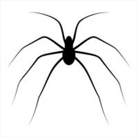 Spider silhouette icon for halloween. Vector illustration.