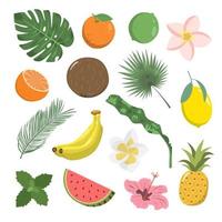 Tropical collection for a summer party with palm leaves, exotic fruits, and flowers. Vector illustration, Isolated on white background.