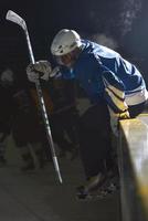 ice hockey players on bench photo