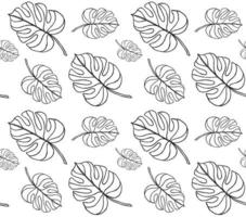 Vector seamless pattern of monstera leaf