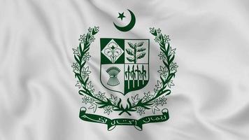 emblème national pakistanais ou symbole en agitant le drapeau. boucle fluide de la vidéo 4k video