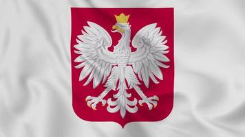 polen kräuter polski nationales emblem oder symbol in schwenkender flagge. reibungsloses 4k-Video, nahtlose Schleife video