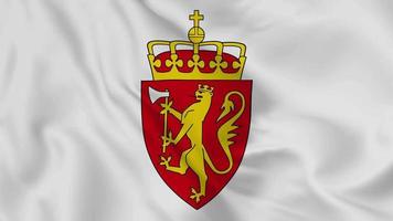 Norge nationell emblem eller symbol i vinka flagga. slät 4k video uteslutande slinga