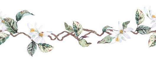 Seamless border leaves and flowers with watercolor. Botanical rim for border design.Style nature