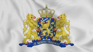 nederland nationaal embleem of symbool in golvend vlag. glad 4k video schijnloos lus