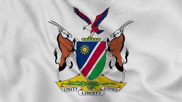 Namibië nationaal embleem of symbool in golvend vlag. glad 4k video schijnloos lus