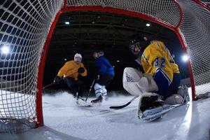 ice hockey goalkeeper photo