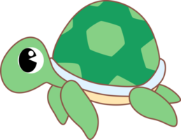 lindo personaje de tortuga animal marino de dibujos animados png