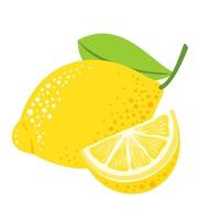 Lemon fruit with a leaf and a cut slice. vector