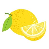 fruta de limón y una rodaja. vector
