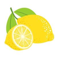 Lemon fruits and lemon half with leaves. vector