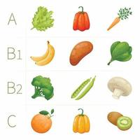 ilustración vectorial tenplate con un conjunto de frutas y verduras naturales y orgánicas saludables. el contenido de vitaminas a, b1, b2, c en los alimentos. vector