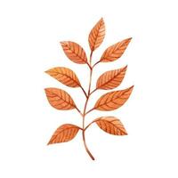 Golden autumn leaves on a branch. Watercolor hand-drawn illustration isolated on white background. Perfect for your project, postcards, prints, covers, patterns, invitations. vector
